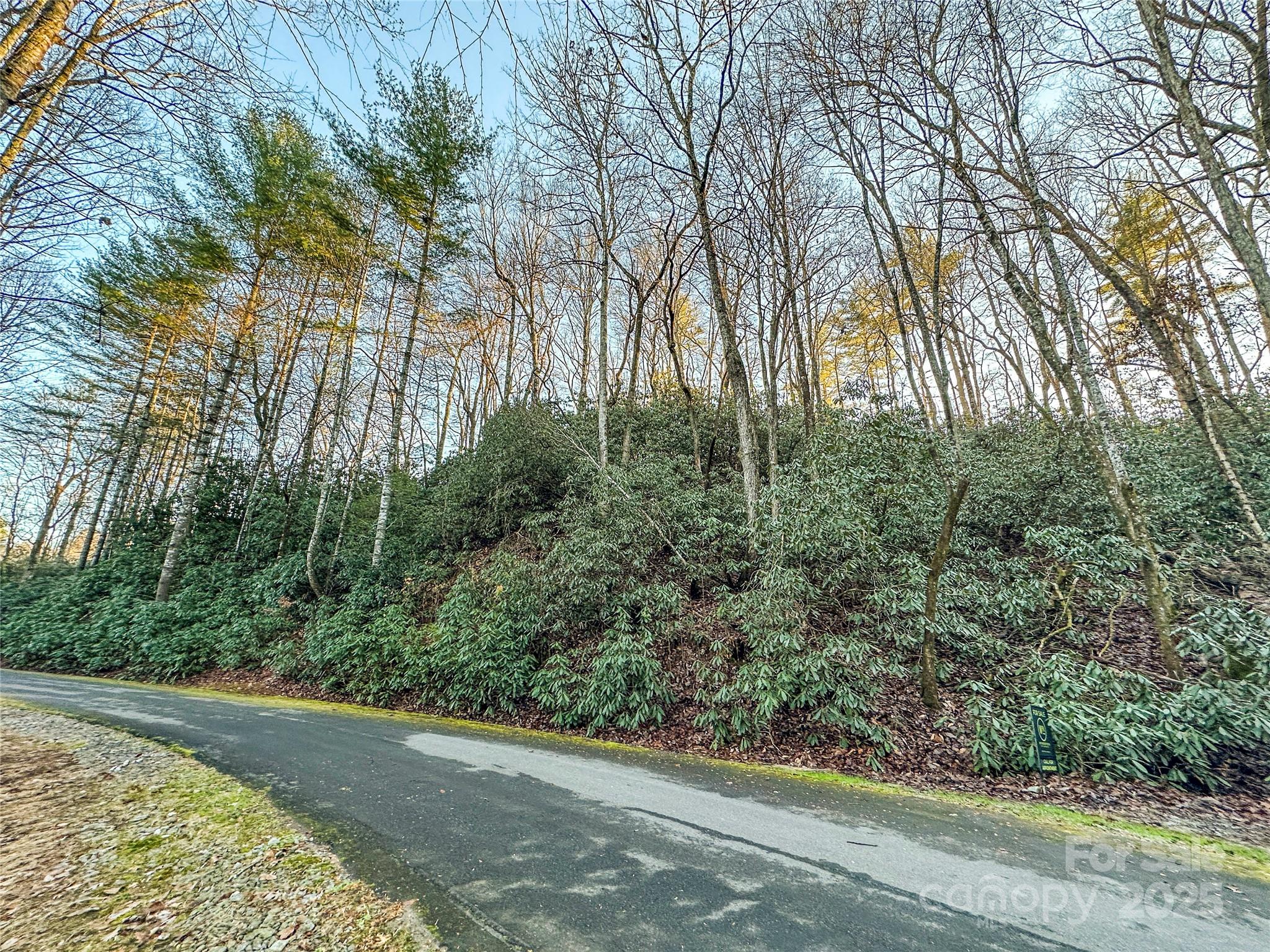 D17 Caroline Lane Pisgah Forest NC 28768