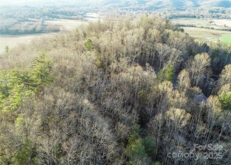 D17 Caroline Lane Pisgah Forest NC 28768