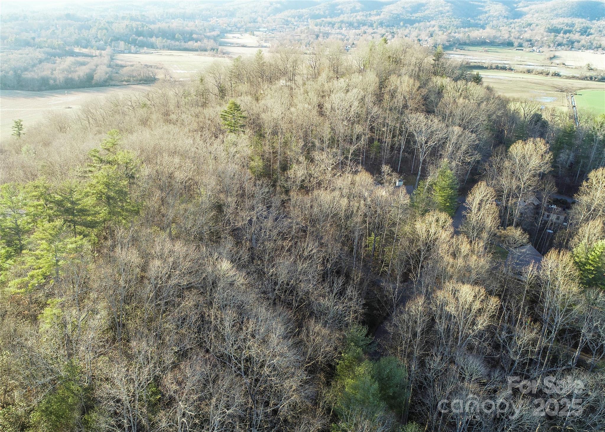 D17 Caroline Lane Pisgah Forest NC 28768
