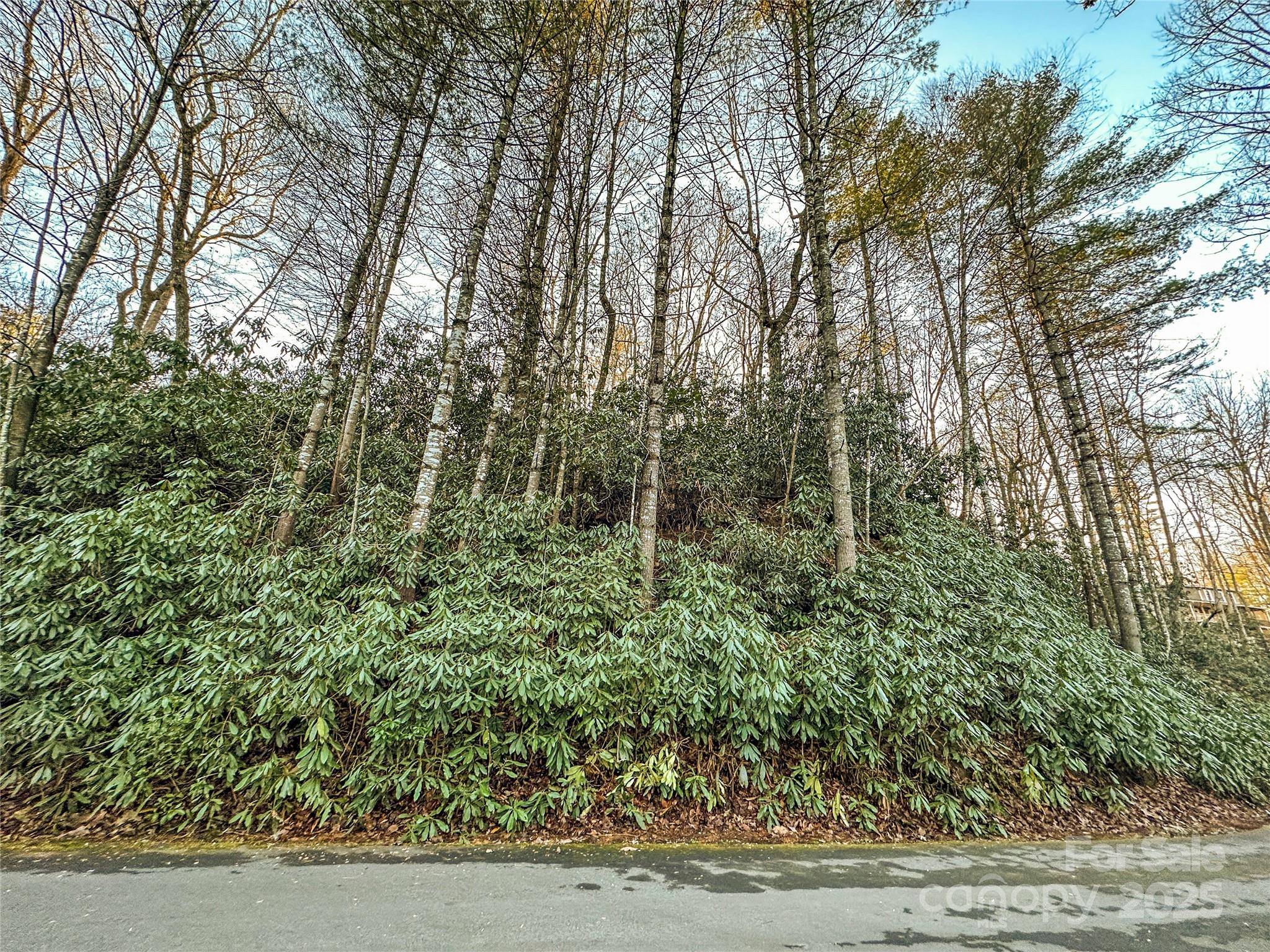 D17 Caroline Lane Pisgah Forest NC 28768