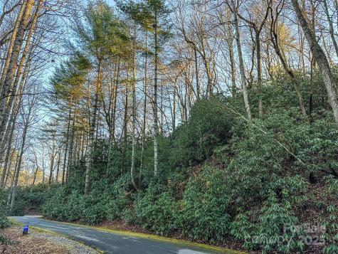 D17 Caroline Lane Pisgah Forest NC 28768
