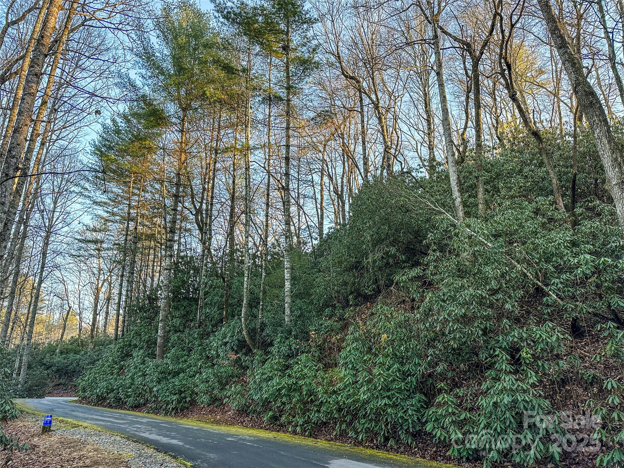 D17 Caroline Lane Pisgah Forest NC 28768