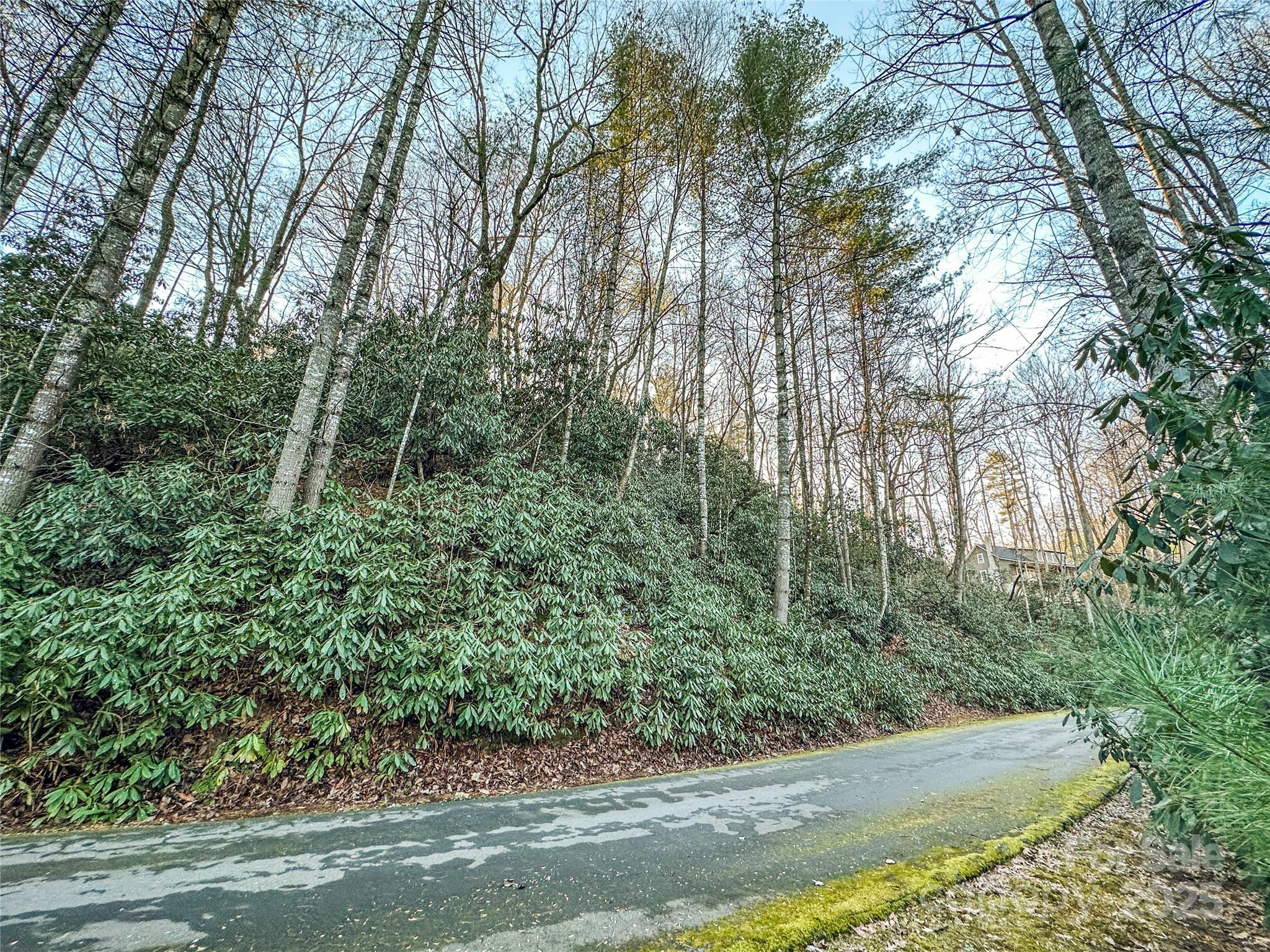 D17 Caroline Lane Pisgah Forest NC 28768