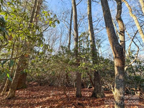 D17 Caroline Lane Pisgah Forest NC 28768