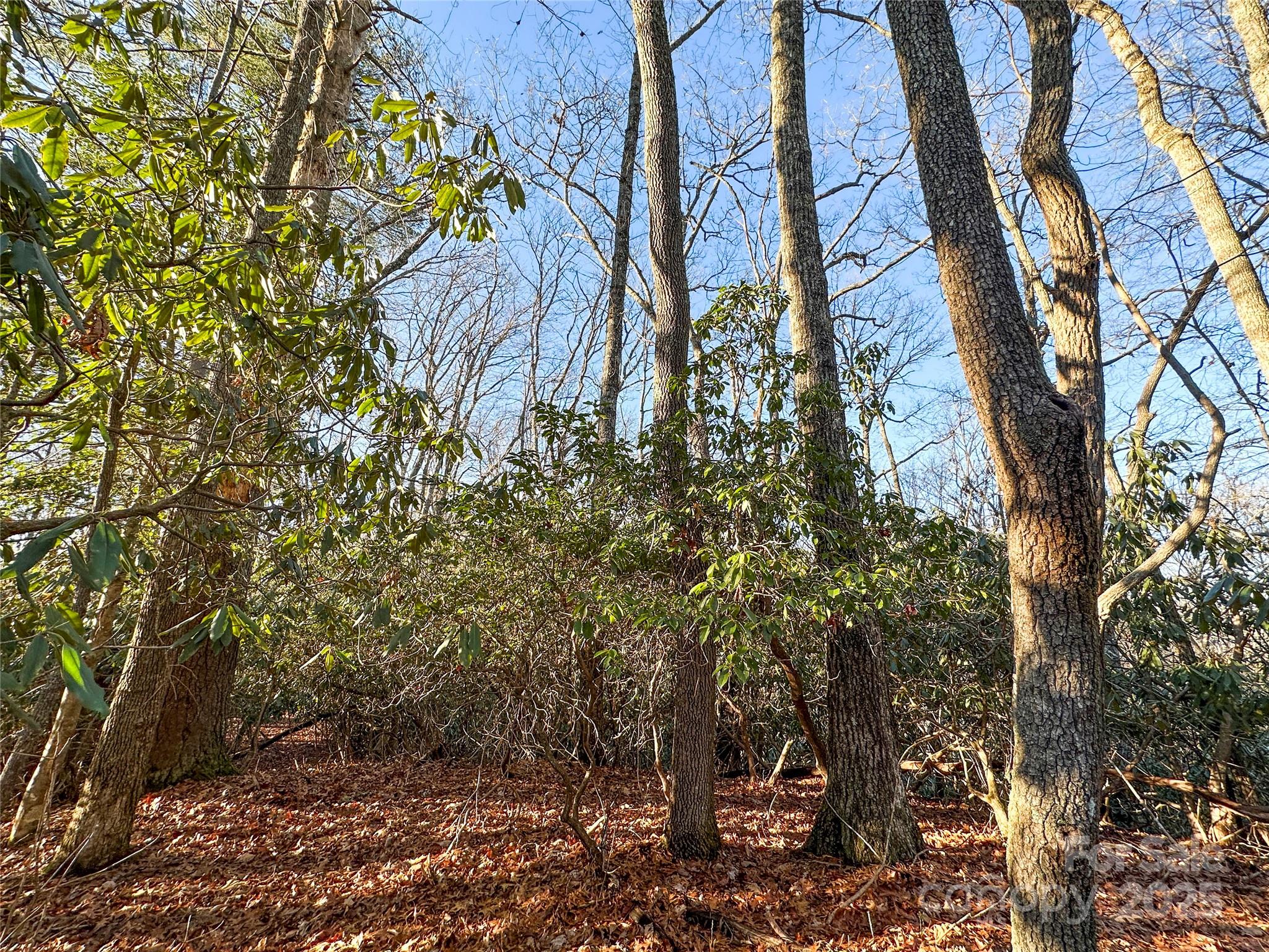 D17 Caroline Lane Pisgah Forest NC 28768