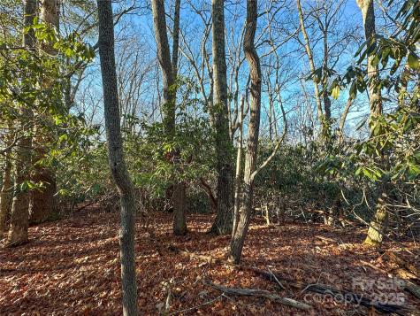 D17 Caroline Lane Pisgah Forest NC 28768