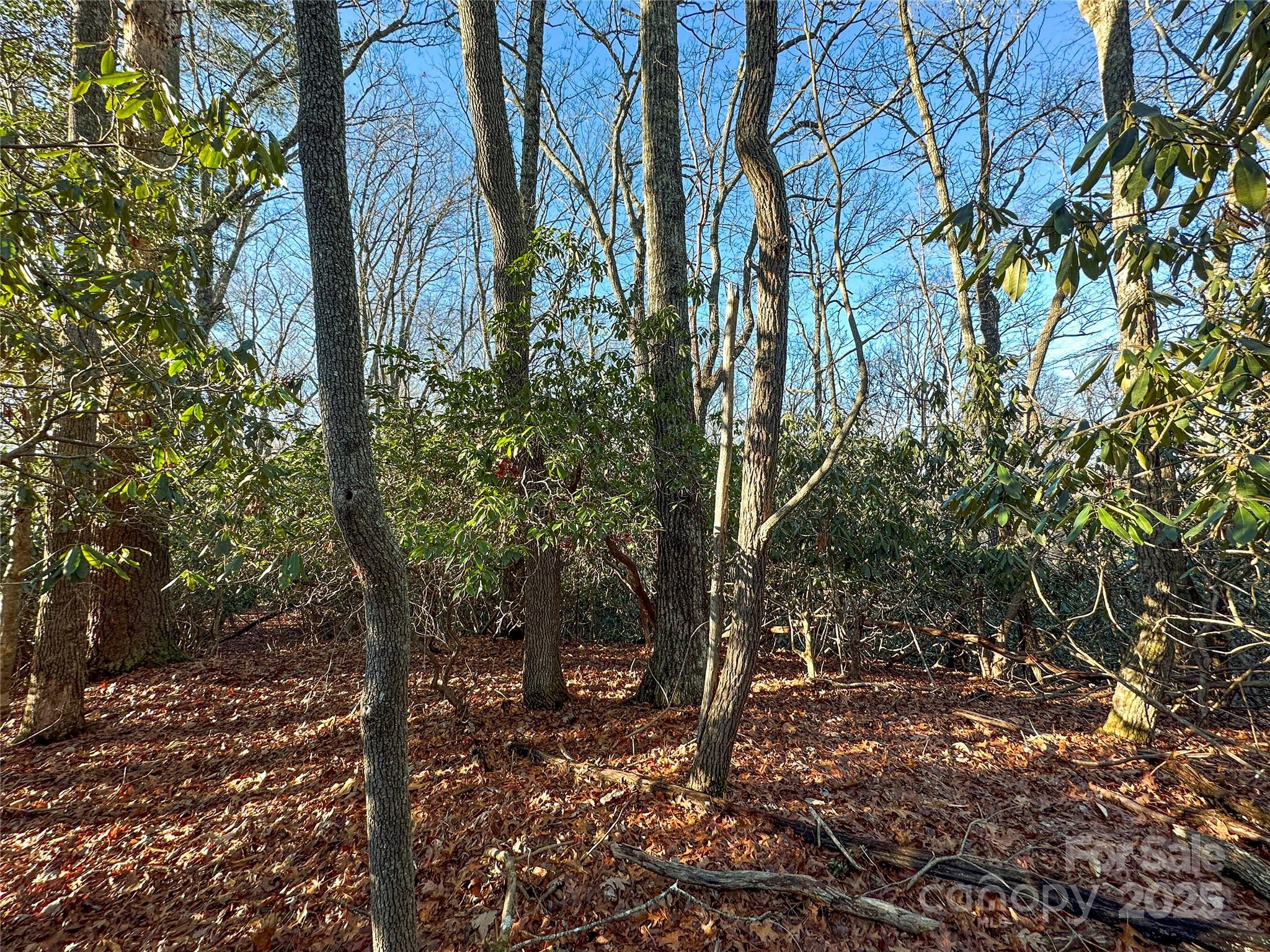 D17 Caroline Lane Pisgah Forest NC 28768