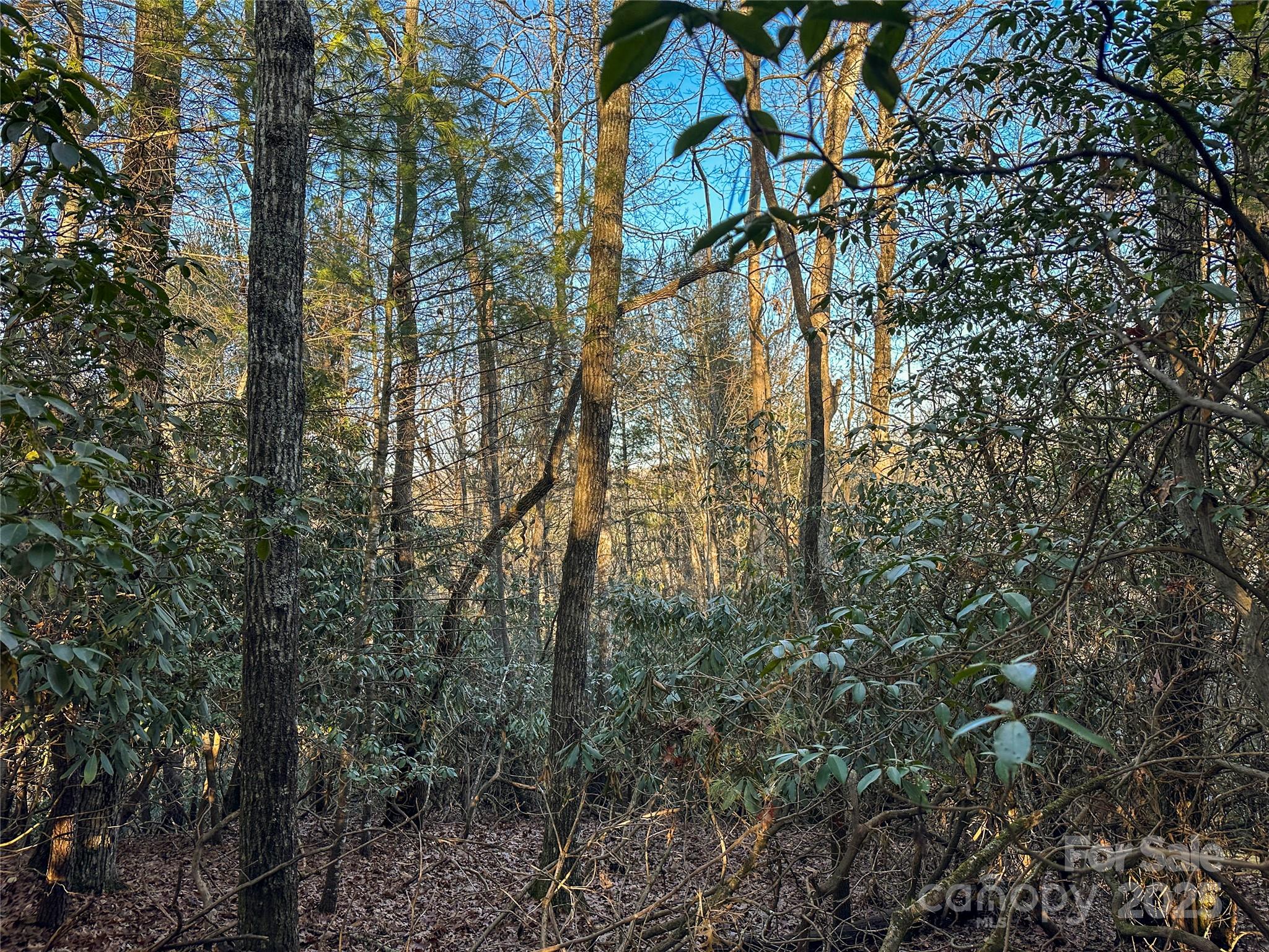 D17 Caroline Lane Pisgah Forest NC 28768