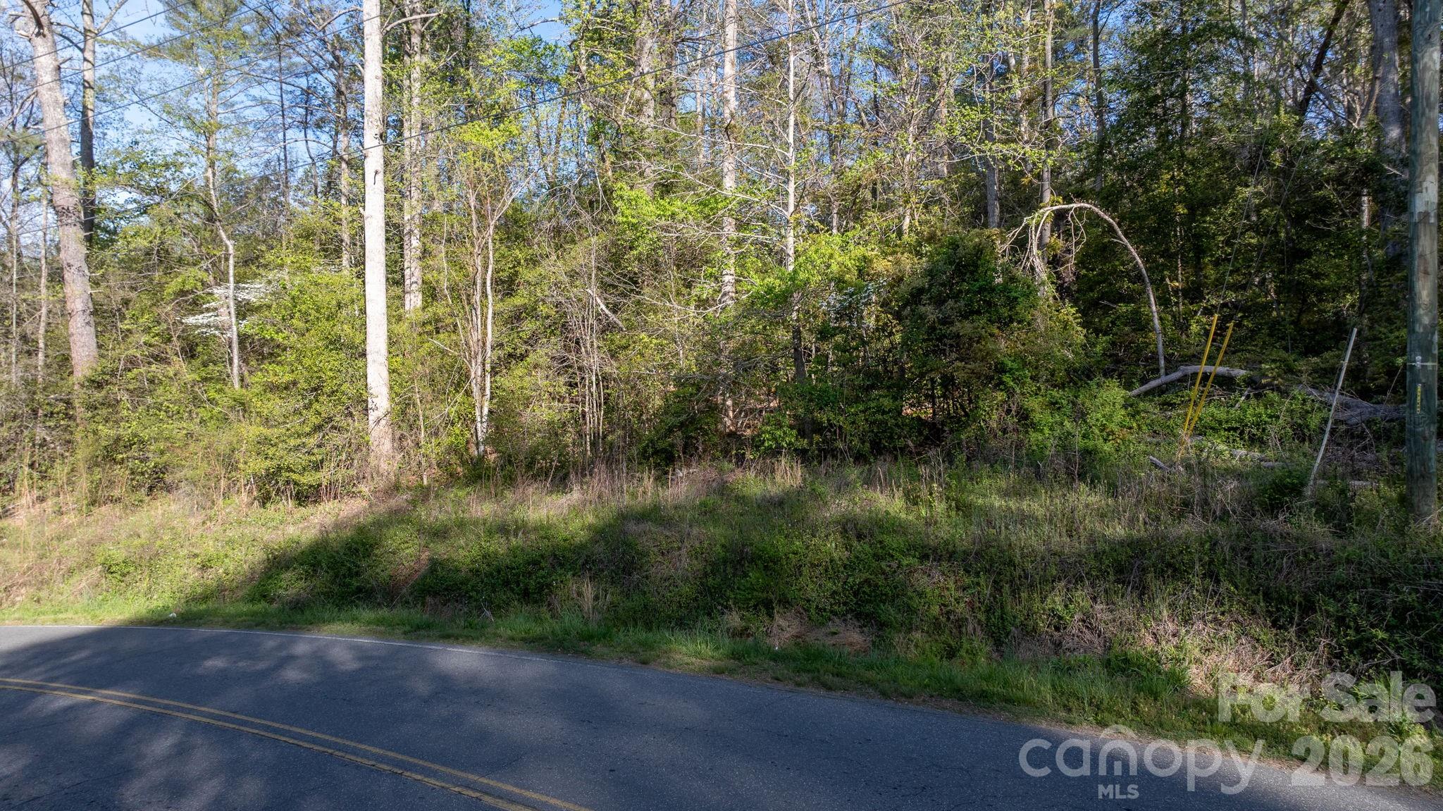 0 Mcgalliard Park Avenue Valdese NC 28690