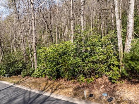 50 Settings Boulevard Black Mountain NC 28711