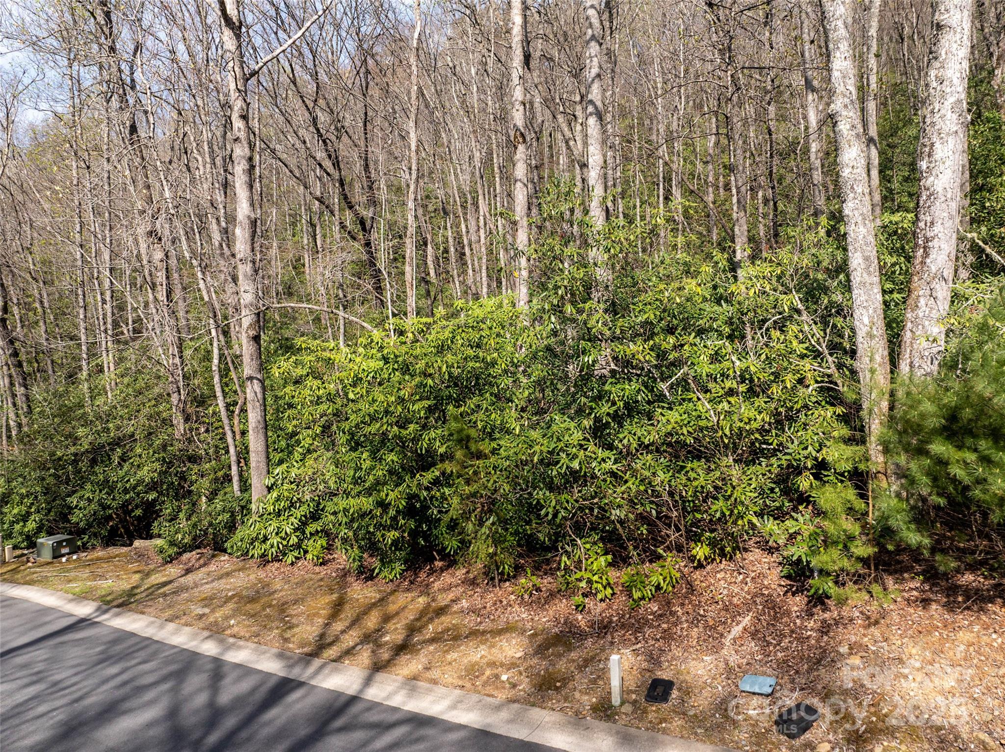 50 Settings Boulevard Black Mountain NC 28711