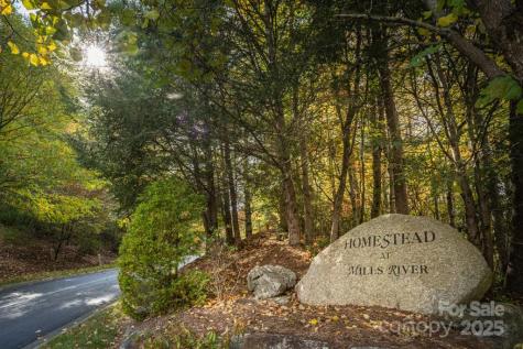 99999 Shining Rock Path Horse Shoe NC 28742