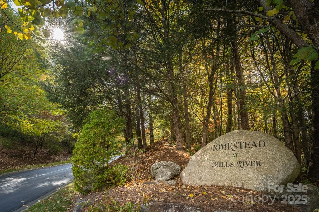 99999 Shining Rock Path Horse Shoe NC 28742