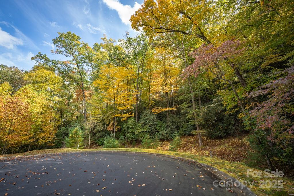 99999 Shining Rock Path Horse Shoe NC 28742