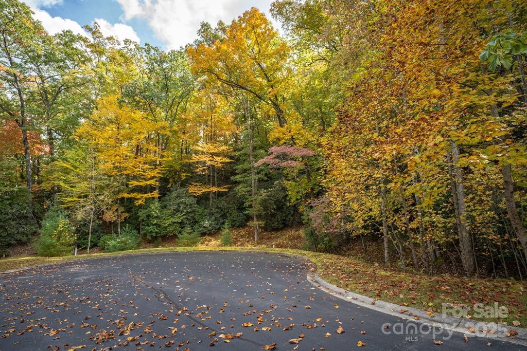 99999 Shining Rock Path Horse Shoe NC 28742