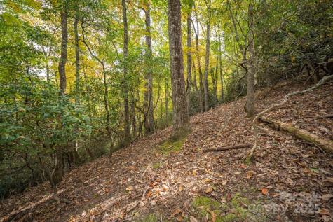 99999 Shining Rock Path Horse Shoe NC 28742