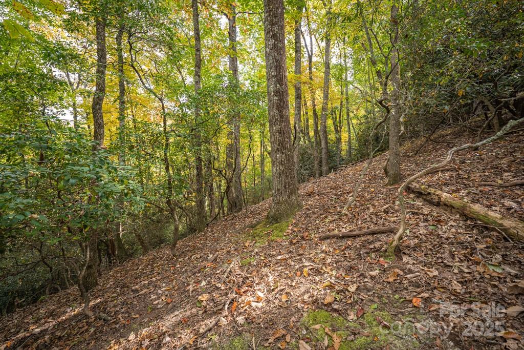 99999 Shining Rock Path Horse Shoe NC 28742
