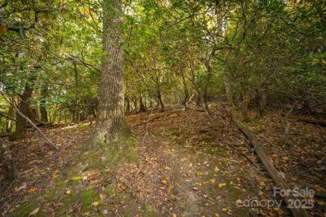 99999 Shining Rock Path Horse Shoe NC 28742