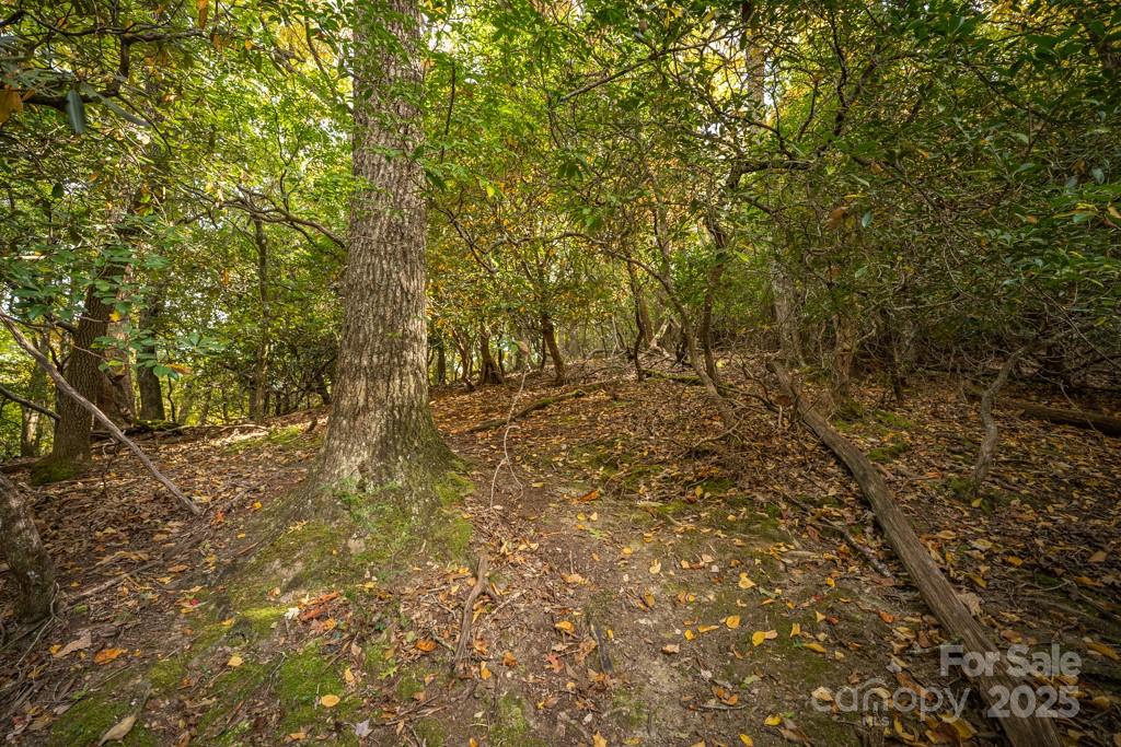 99999 Shining Rock Path Horse Shoe NC 28742