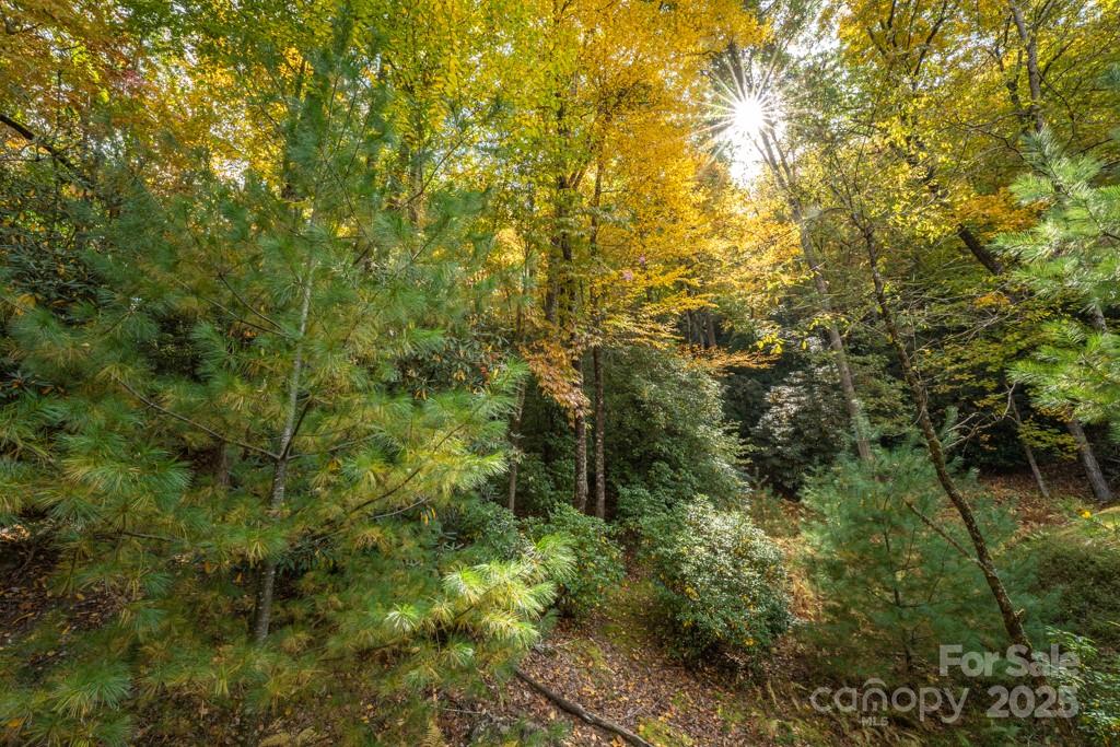 99999 Shining Rock Path Horse Shoe NC 28742