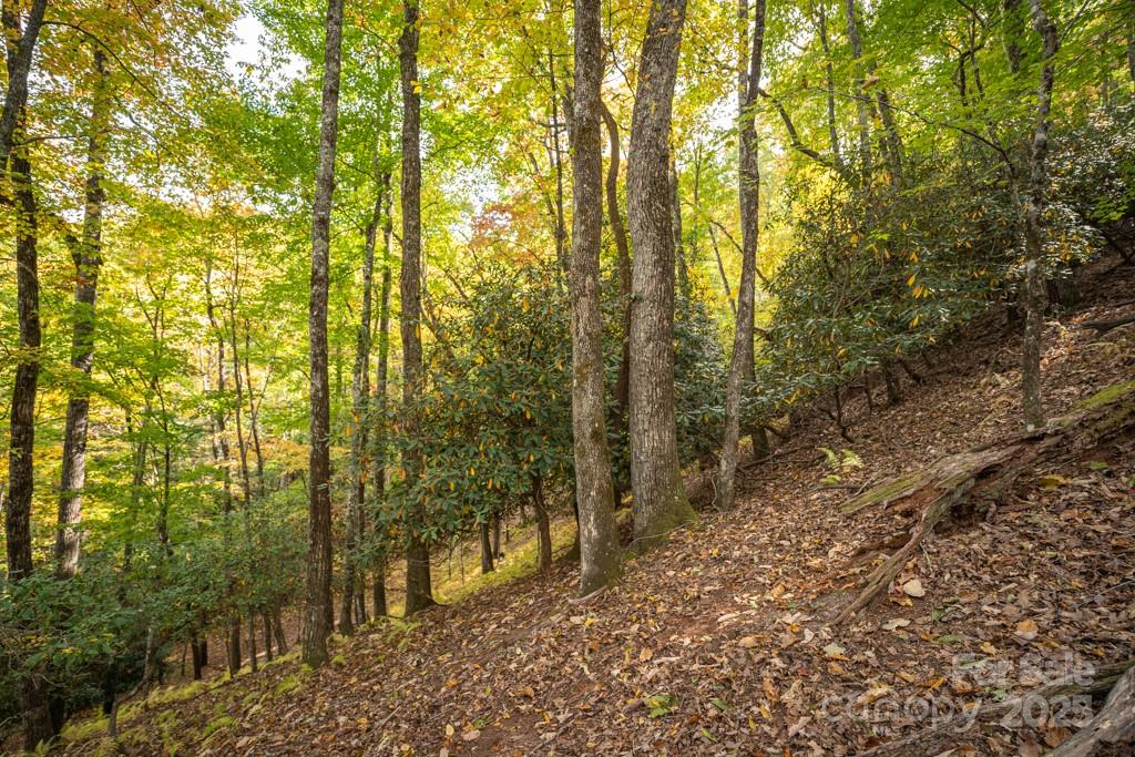 99999 Shining Rock Path Horse Shoe NC 28742