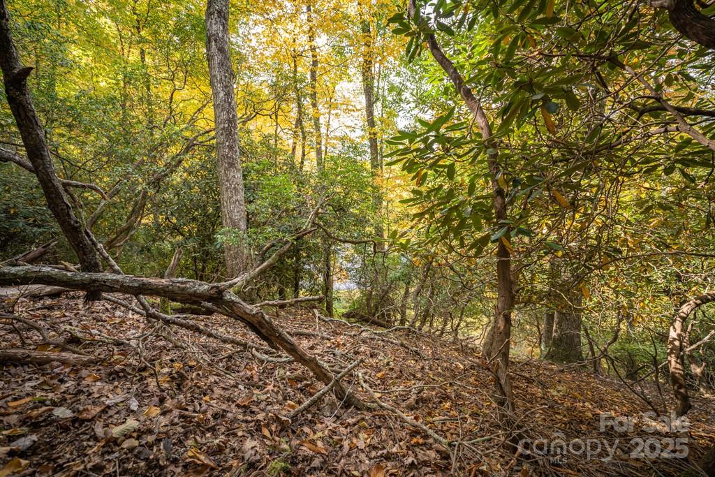 99999 Shining Rock Path Horse Shoe NC 28742