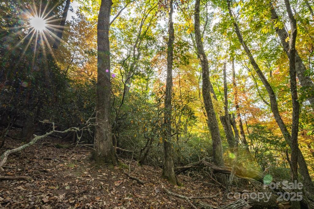 99999 Shining Rock Path Horse Shoe NC 28742