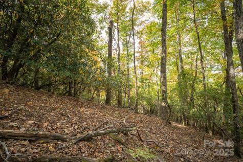 99999 Shining Rock Path Horse Shoe NC 28742