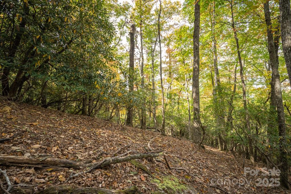 99999 Shining Rock Path Horse Shoe NC 28742