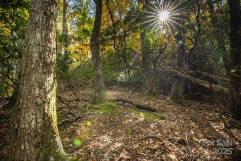 99999 Shining Rock Path Horse Shoe NC 28742