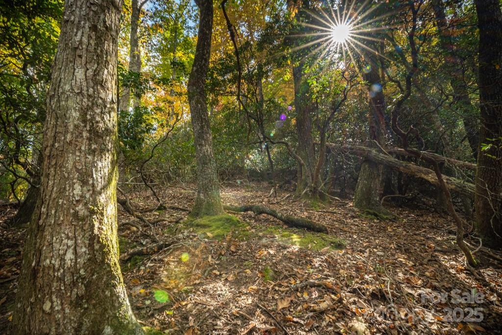 99999 Shining Rock Path Horse Shoe NC 28742