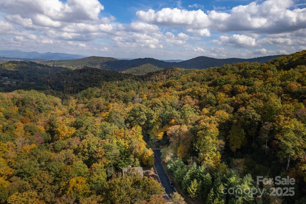 99999 Shining Rock Path Horse Shoe NC 28742