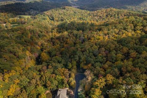 99999 Shining Rock Path Horse Shoe NC 28742