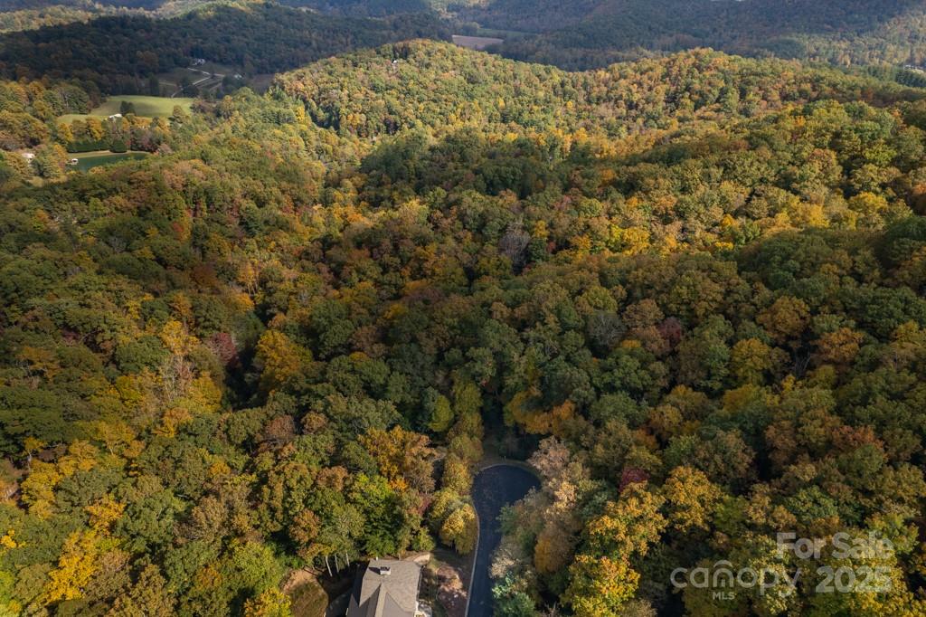 99999 Shining Rock Path Horse Shoe NC 28742