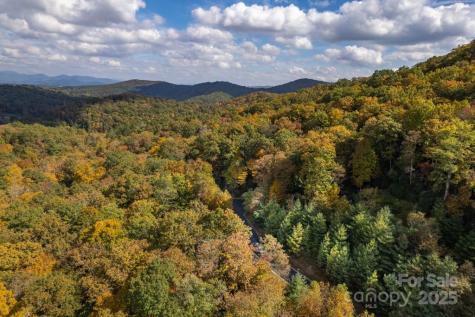 99999 Shining Rock Path Horse Shoe NC 28742