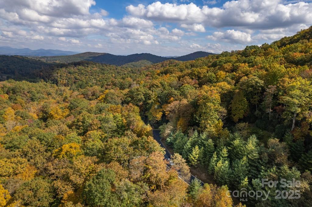 99999 Shining Rock Path Horse Shoe NC 28742