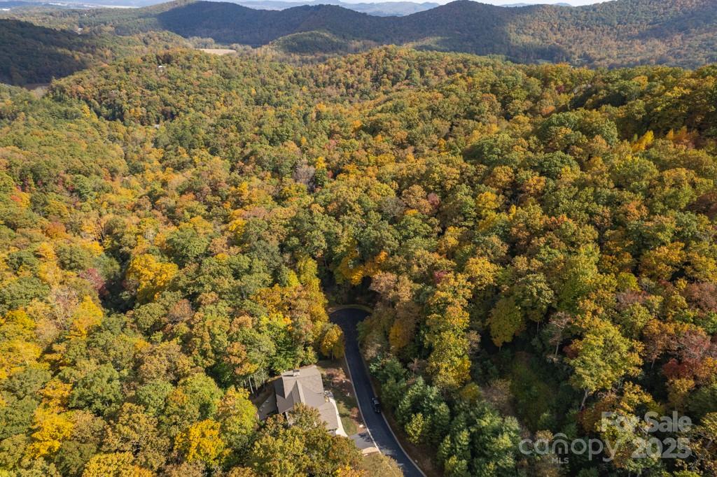 99999 Shining Rock Path Horse Shoe NC 28742