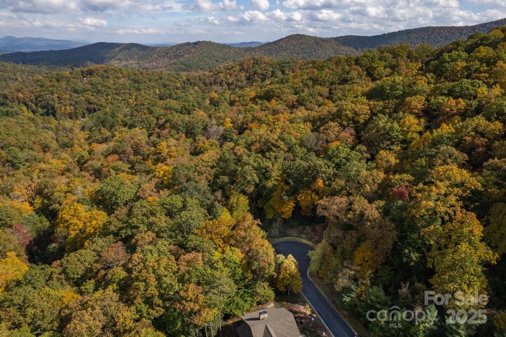 99999 Shining Rock Path Horse Shoe NC 28742