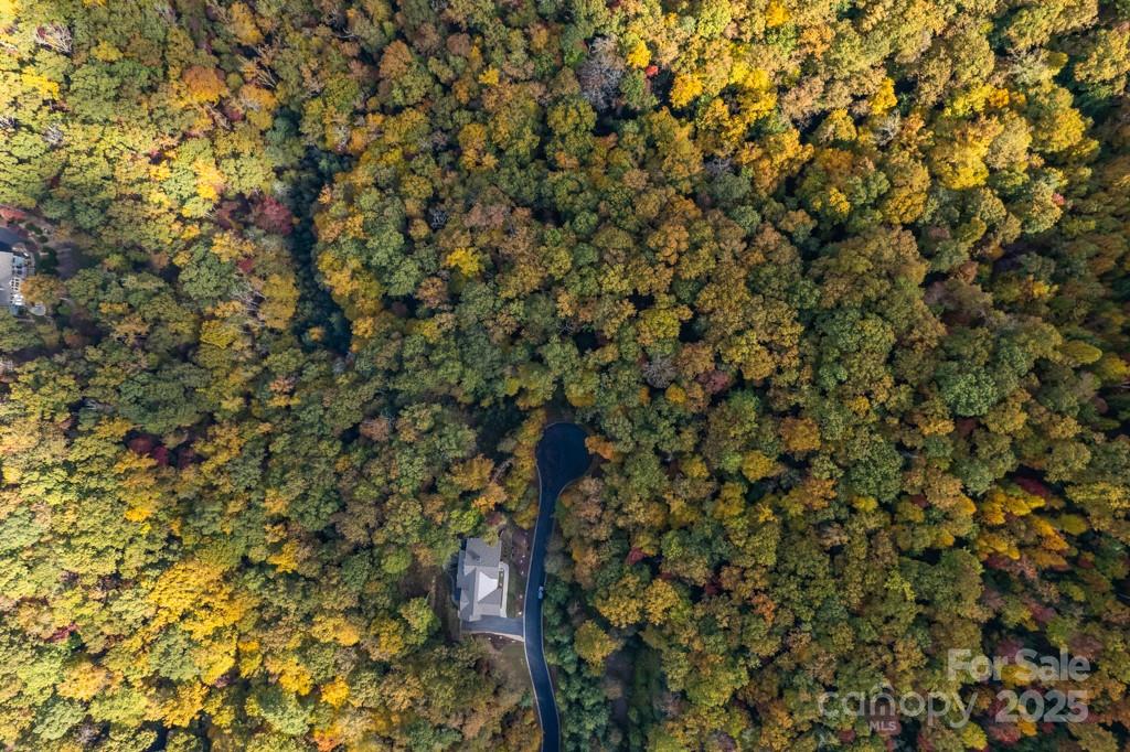 99999 Shining Rock Path Horse Shoe NC 28742