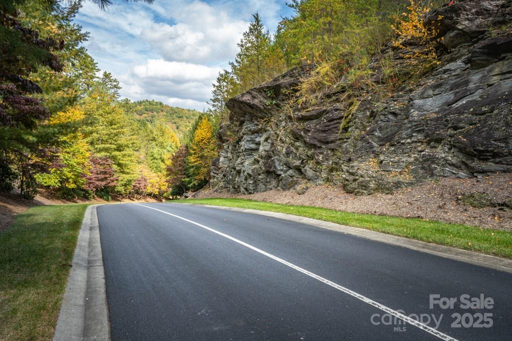 99999 Shining Rock Path Horse Shoe NC 28742