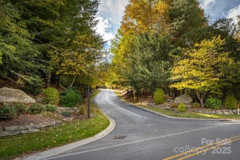 99999 Shining Rock Path Horse Shoe NC 28742