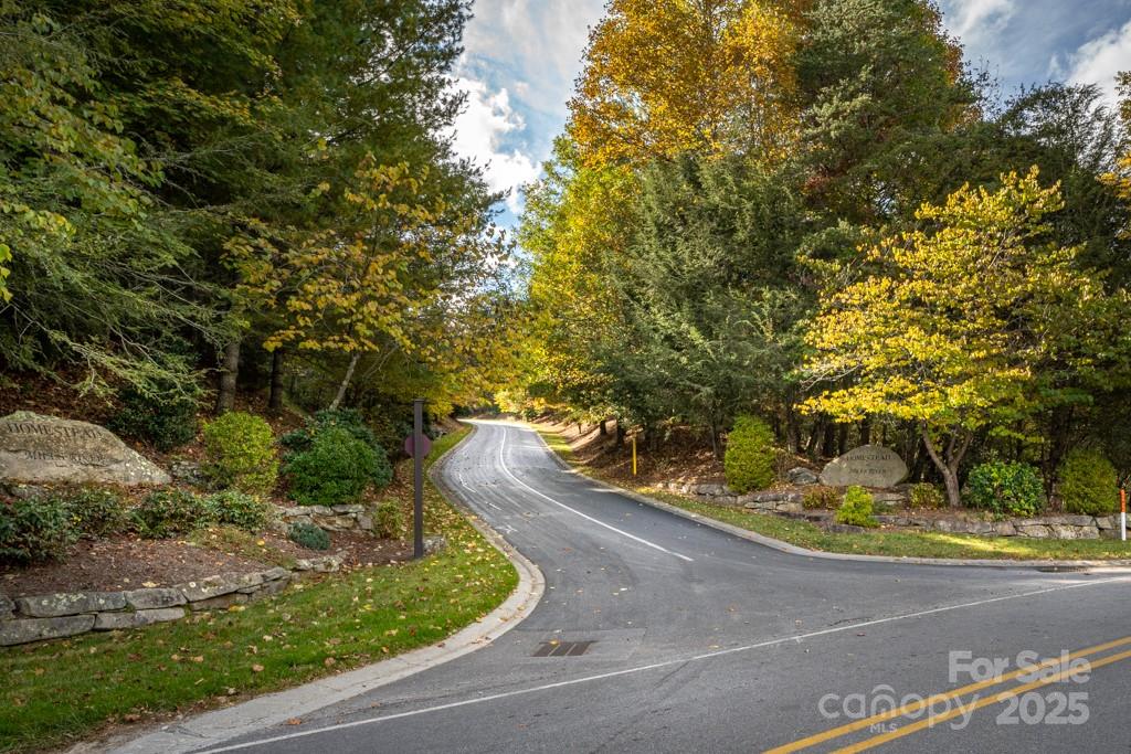 99999 Shining Rock Path Horse Shoe NC 28742