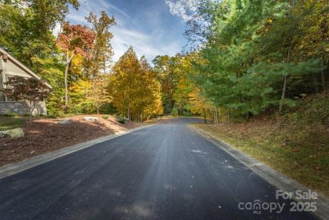 99999 Shining Rock Path Horse Shoe NC 28742