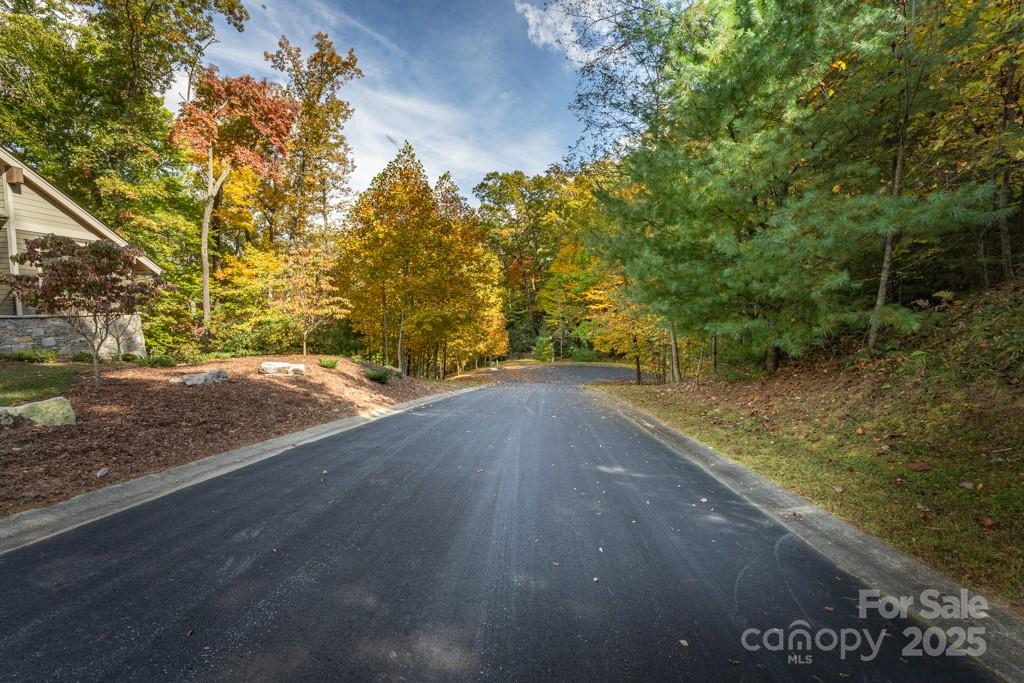 99999 Shining Rock Path Horse Shoe NC 28742