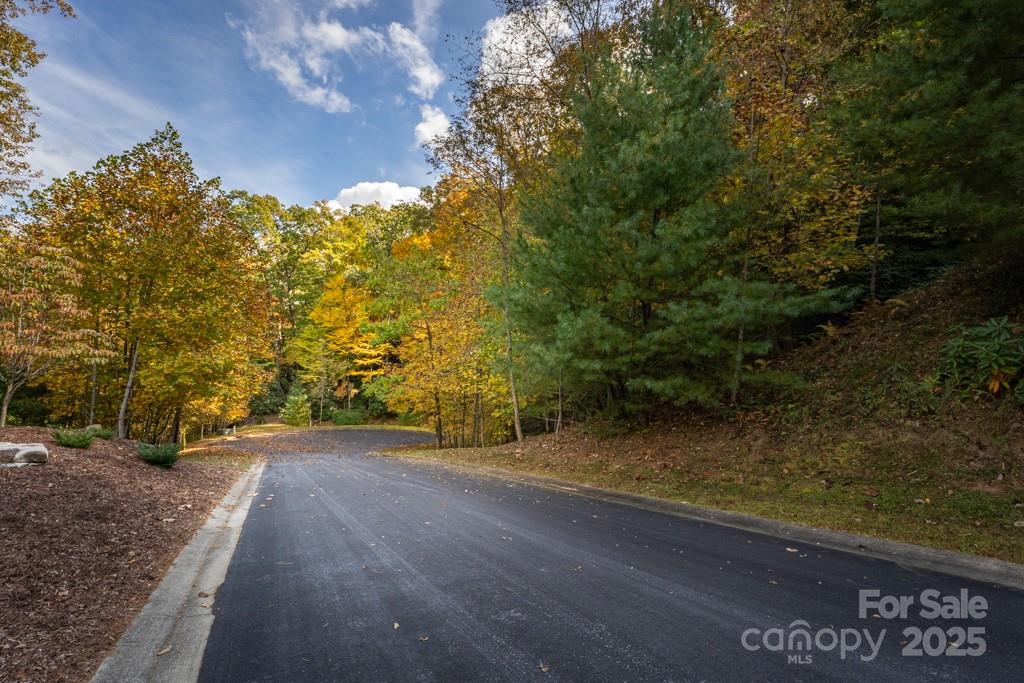 99999 Shining Rock Path Horse Shoe NC 28742
