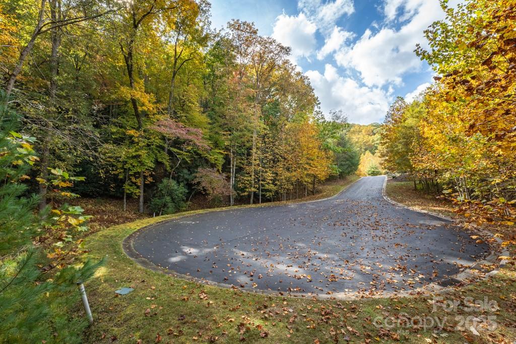 99999 Shining Rock Path Horse Shoe NC 28742
