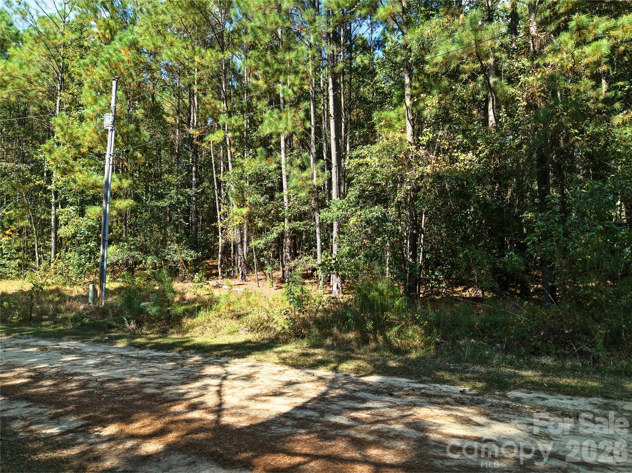 00-00 Deer Trail Raeford Township NC 28376