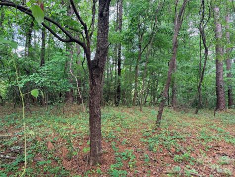 Lot 12 Sheepnose Drive Lake Lure NC 28746
