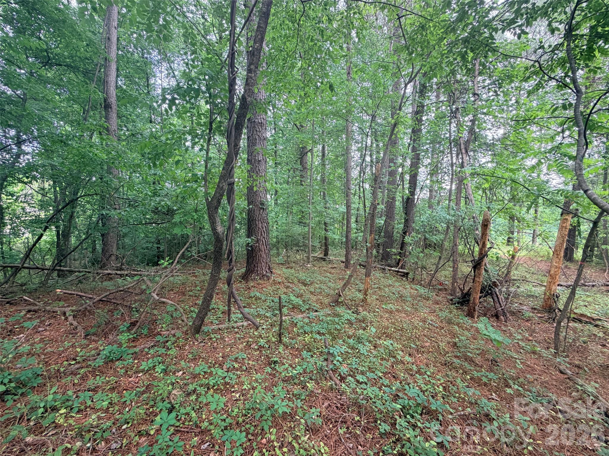 Lot 12 Sheepnose Drive Lake Lure NC 28746