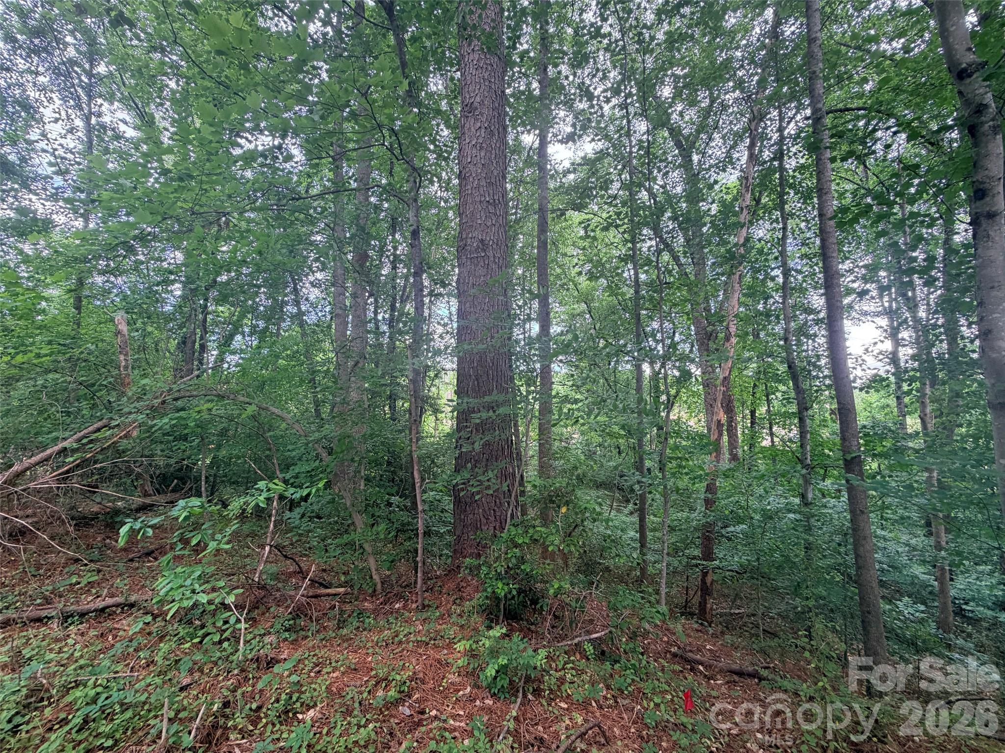 Lot 12 Sheepnose Drive Lake Lure NC 28746